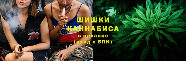 a pvp Новозыбков