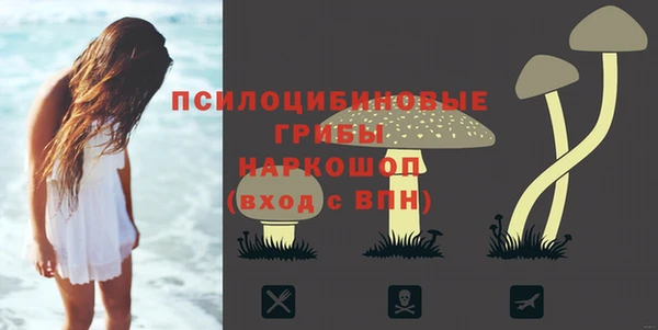 Альфа ПВП Новодвинск