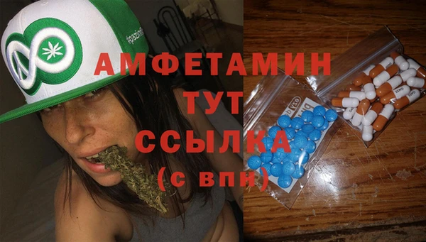 Альфа ПВП Новодвинск