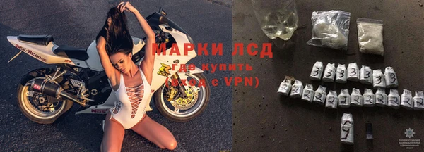 a pvp Новозыбков