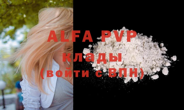 Альфа ПВП Новодвинск