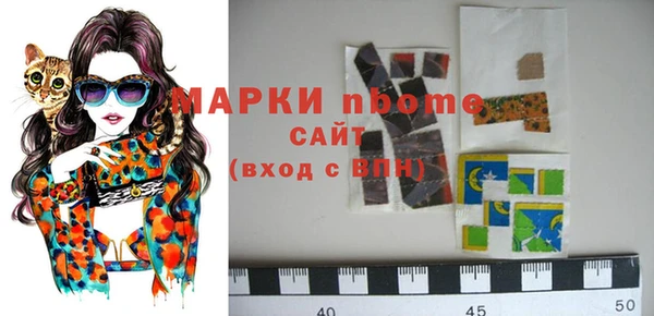 a pvp Новозыбков