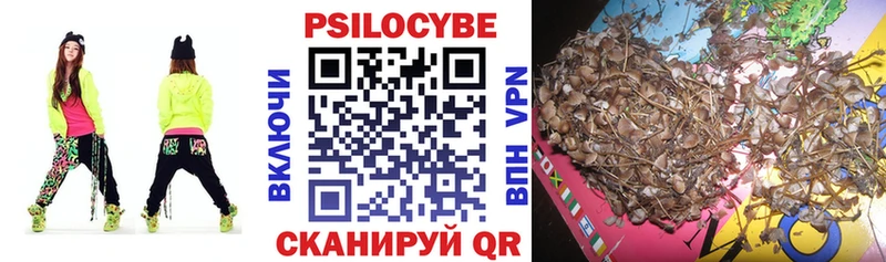 Купить  Катав-Ивановск  Галлюциногенные грибы Cubensis 